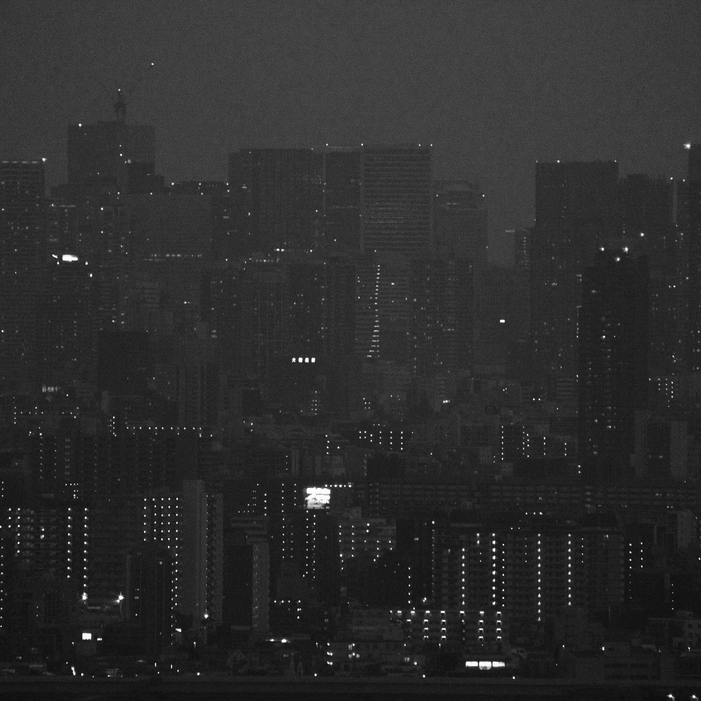 the city